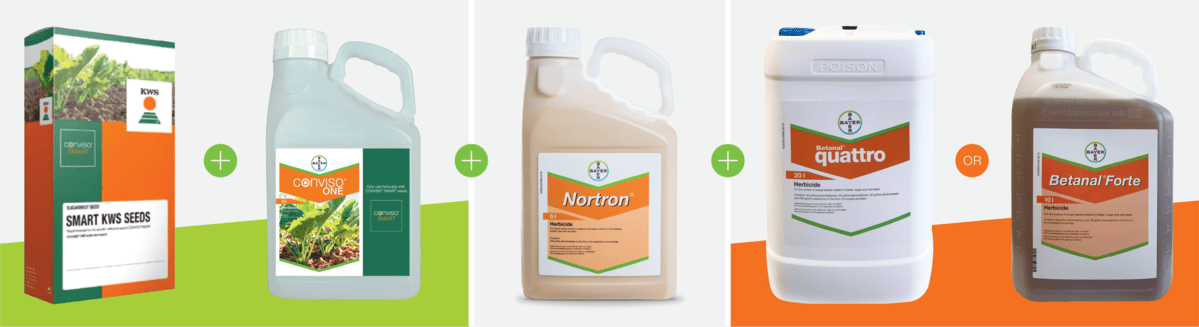 Bayer Conviso Nortron Betanal Graphic