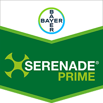 Serenade Prime brand tag