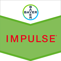 Impulse brand tag