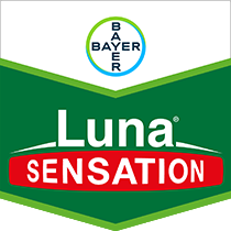 Luna Sensation| Fungicides | Bayer Crop Science New Zealand