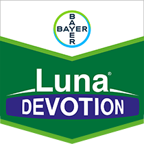 Luna Devotion
