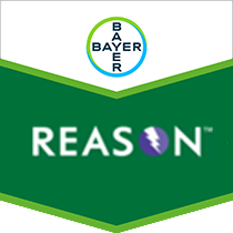 Reason | Fungicides | Bayer Crop Science New Zealand