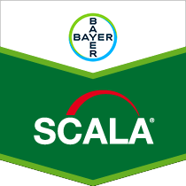 Scala brand tag