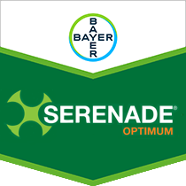 Serenade Optimum