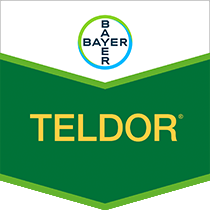 Teldor brand tag