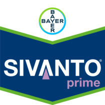 Sivanto Prime