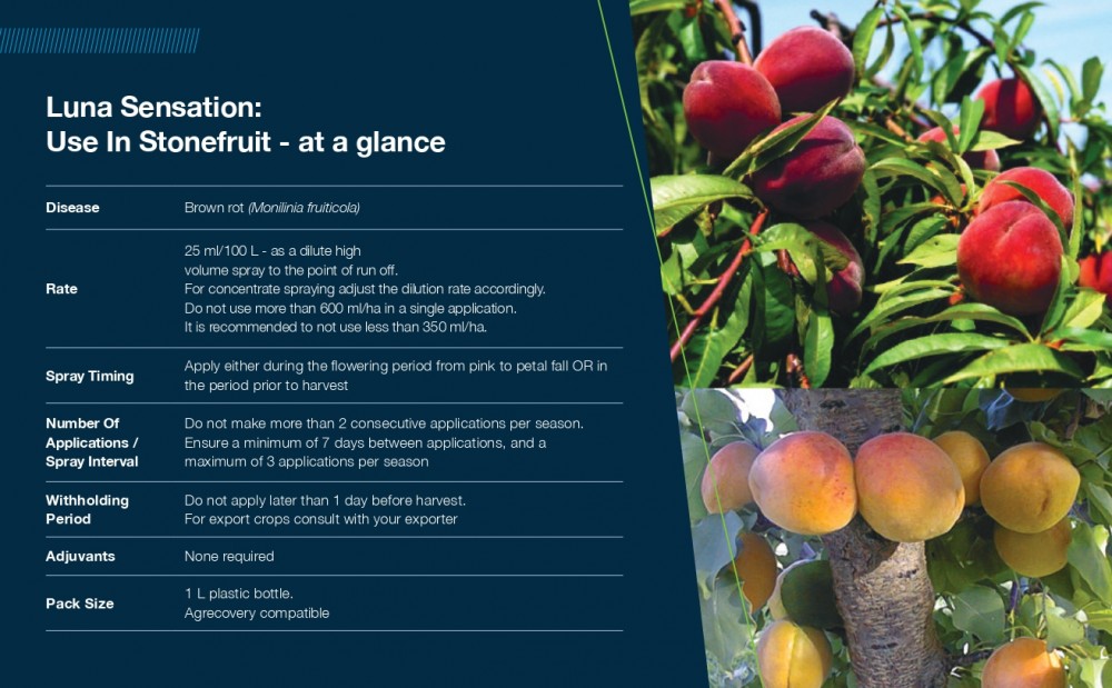 Luna Usage Stonefruit